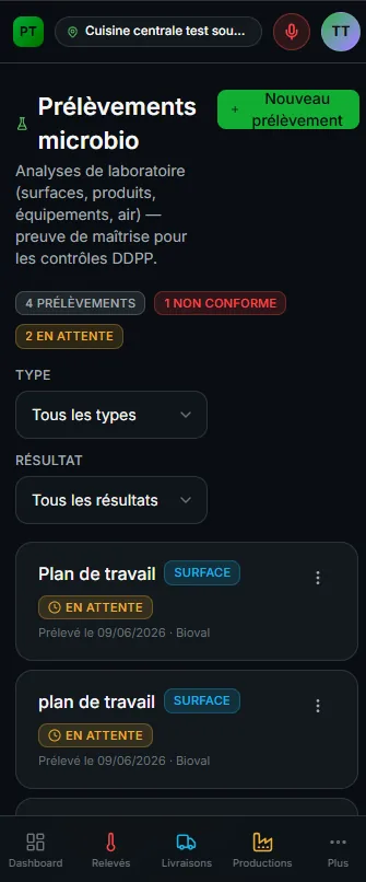 Plat Témoin — capture 8